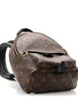 Monogram Palm Springs Backpack PM