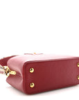Taurillon Snakeskin Mini Capucines Burgundy