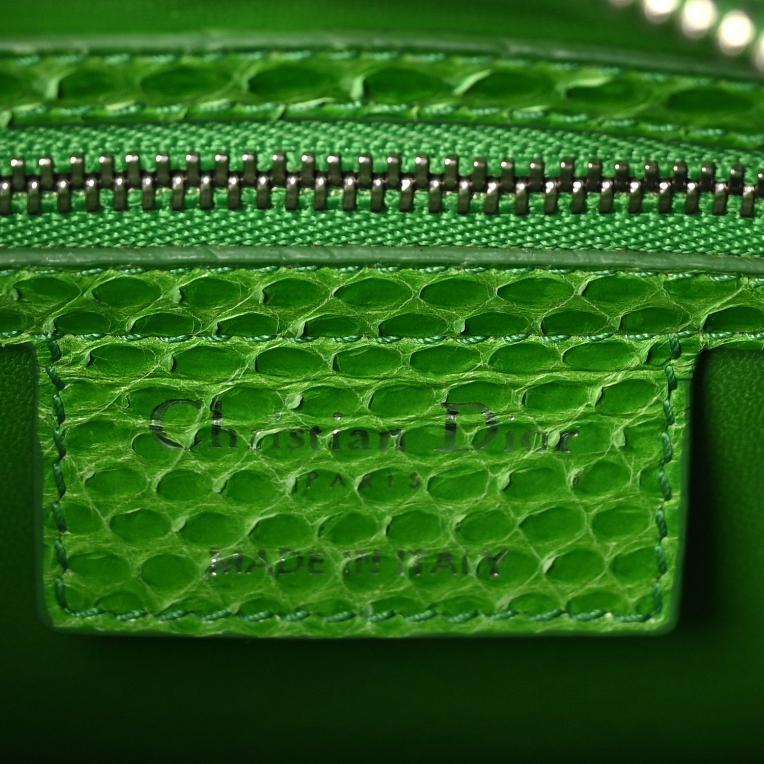Snakeskin Medium Lady D1OR Green