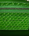 Snakeskin Medium Lady D1OR Green