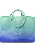 Shaded Calfskin Medium Deauville Tote Light Green Turquoise Purple