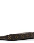 Monogram Pochette Accessories
