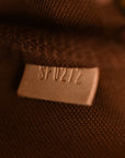 Monogram Mini Pochette Accessories