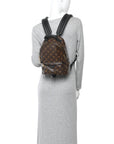 Monogram Palm Springs Backpack PM