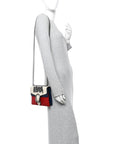 Calfskin Crystal Snake Embroidered Mini Dionysus Shoulder Bag Mystic White Hibiscus Red Blue Agata