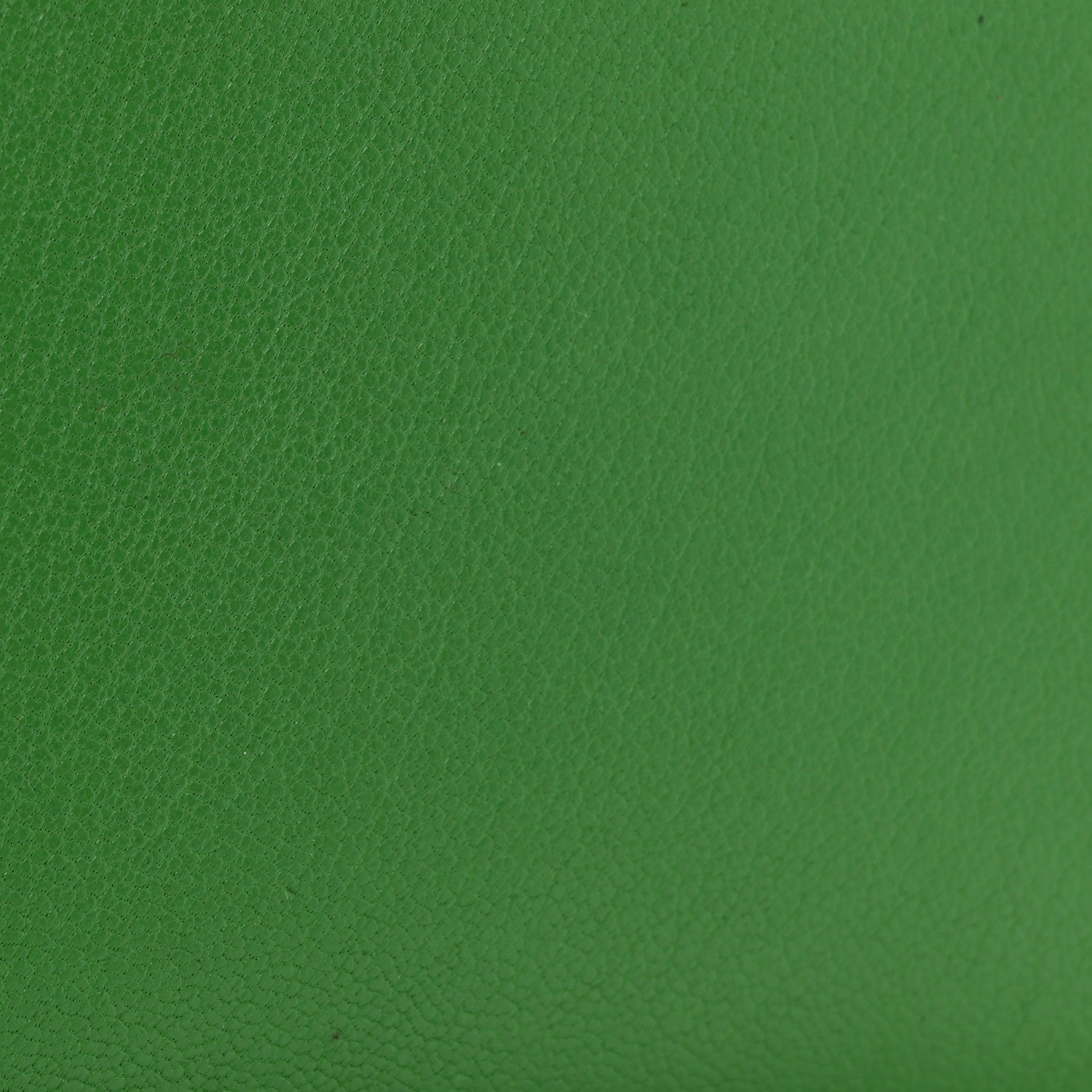 Goatskin Saddle Chain Wallet Pouch Bright Green