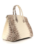 Matte Niloticus Crocodile Himalaya Birkin 30 Blanc