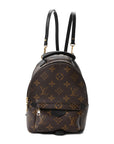 Monogram Palm Springs Backpack Mini