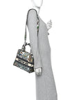 Canvas Embroidered Etoile de Voyage Medium Lady D-Lite Multicolor