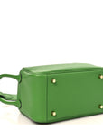 Taurillon Clemence Mini Lindy 20 Vert Yucca