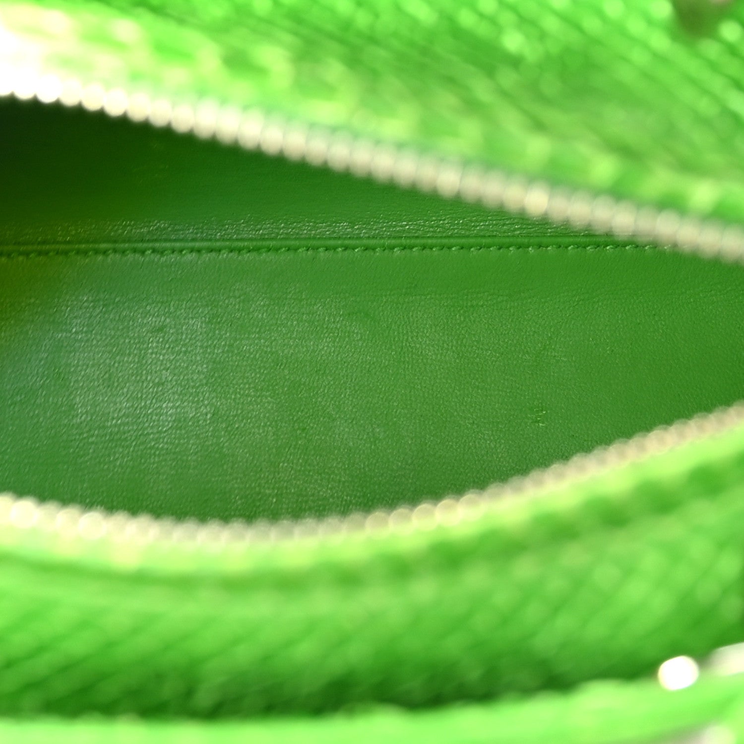 Snakeskin Medium Lady D1OR Green