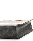 Triomphe Canvas Calfskin Mini Vertical Cabas Tan