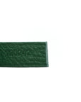 Goyardine Saint Louis PM Green