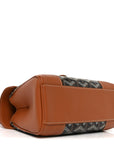 Goyardine Mini Saigon Black Gold