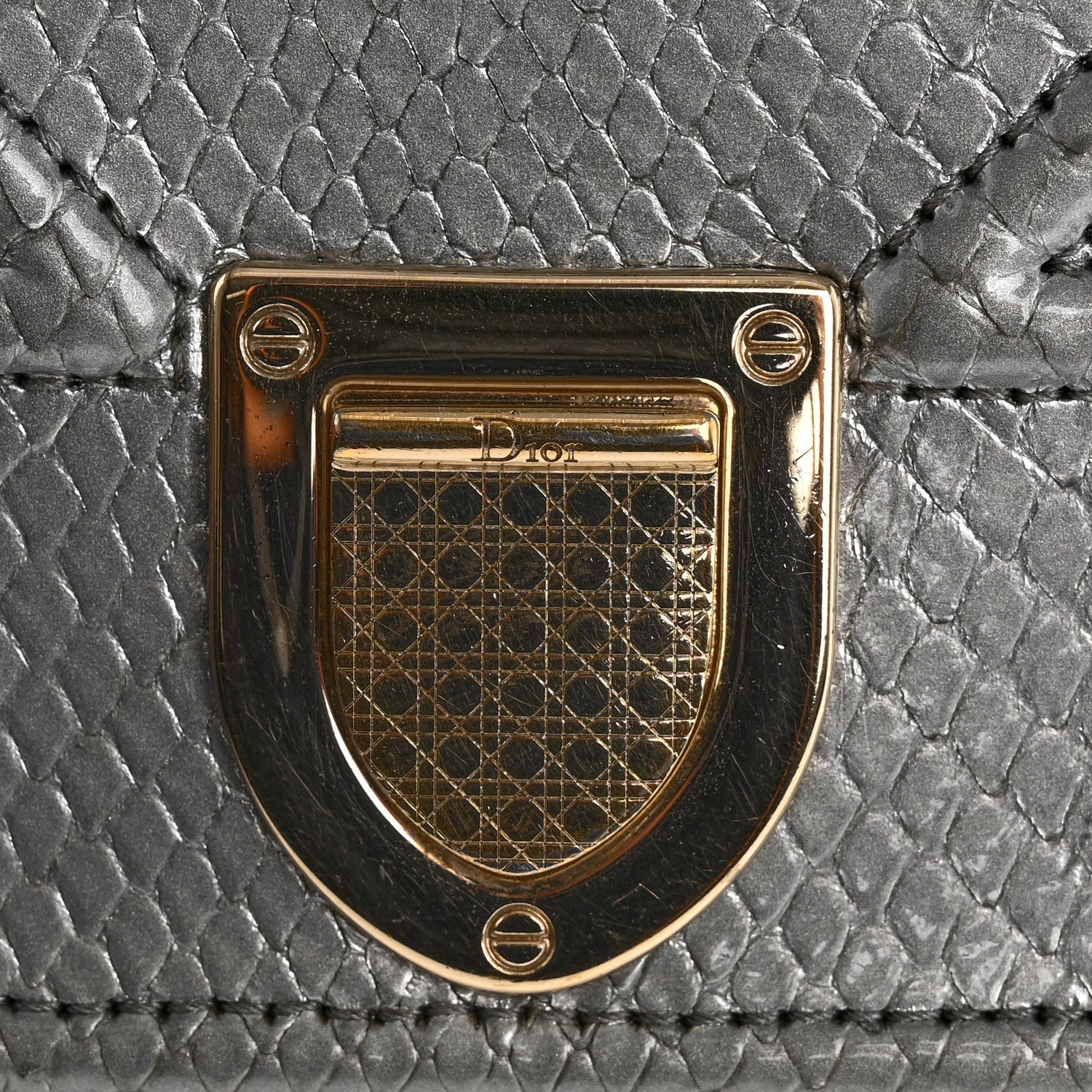 Snakeskin D1ORama Wallet on Chain Pouch Silver