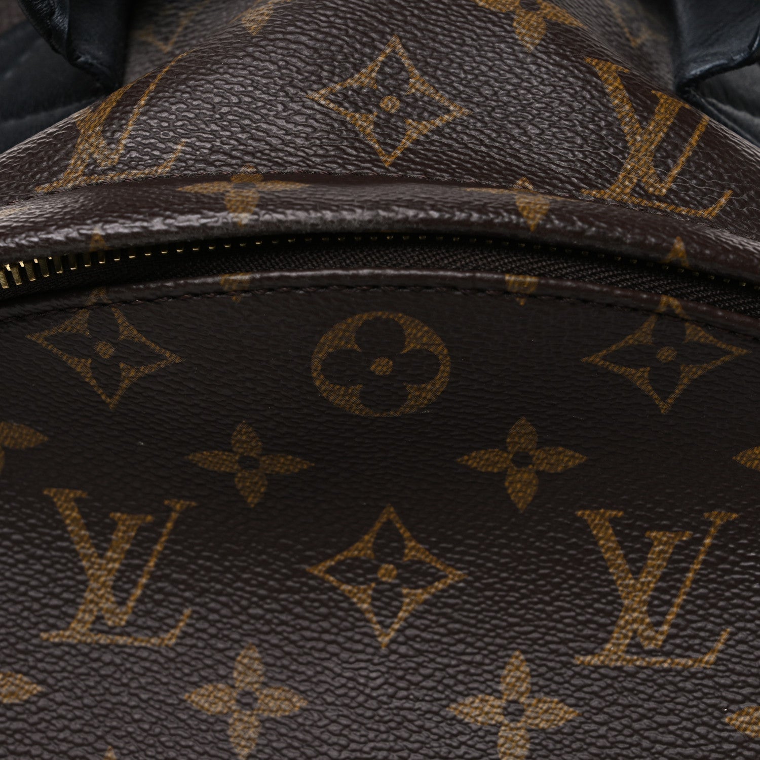 Monogram Palm Springs Backpack MM