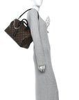 Monogram Speedy Soft 30 Dark