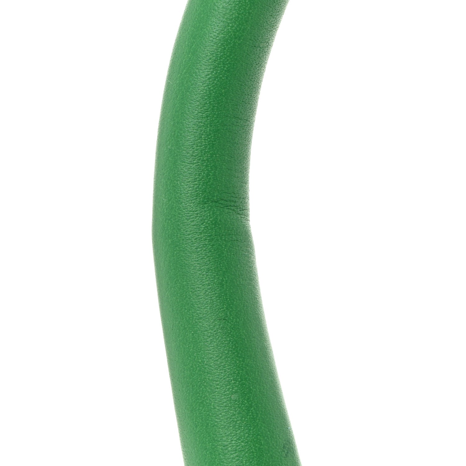 Smooth Calfskin Le Chiquito Moyen Green