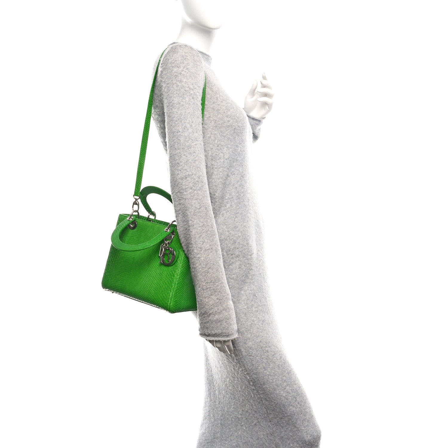 Snakeskin Medium Lady D1OR Green