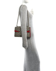 GG Supreme Monogram Small Dionysus Shoulder Bag Red