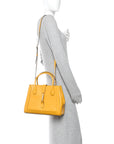 Boarded Plutone Calfskin Medium Jackie 1961 Tote Crop