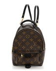 Monogram Palm Springs Backpack Mini