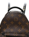 Monogram Palm Springs Backpack Mini
