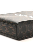 Triomphe Canvas Calfskin Mini Vertical Cabas Tan