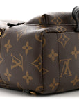 Monogram Palm Springs Backpack Mini