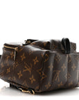 Monogram Palm Springs Backpack Mini