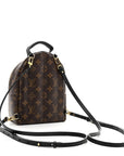Monogram Palm Springs Backpack Mini