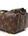 Monogram Palm Springs Backpack Mini
