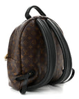 Monogram Palm Springs Backpack MM
