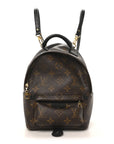 Monogram Palm Springs Backpack Mini
