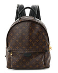 Monogram Palm Springs Backpack MM