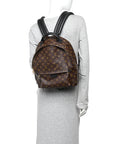 Monogram Palm Springs Backpack MM