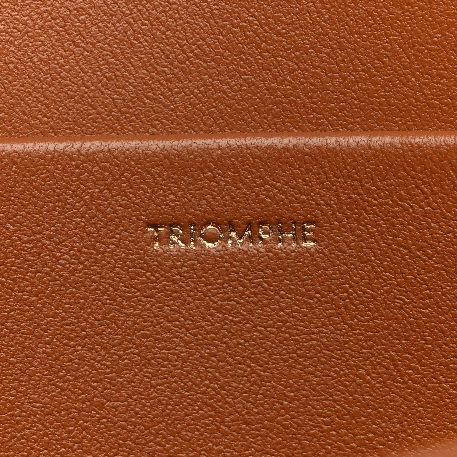 Natural Calfskin Medium Triomphe Tan