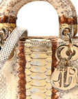 Snakeskin Mini Lady D1OR Beige Gold