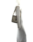GG Supreme Monogram Medium Dionysus Bucket Bag Beige New Acero