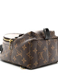 Monogram Palm Springs Backpack Mini