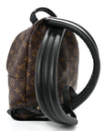 Monogram Palm Springs Backpack PM