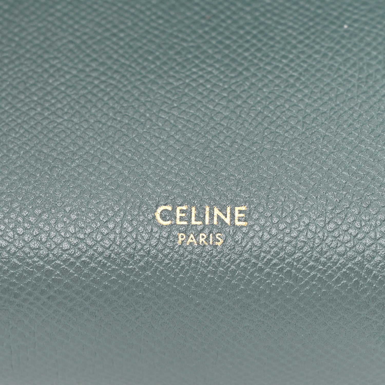 Grained Calfskin Nano Belt Bag Amazone