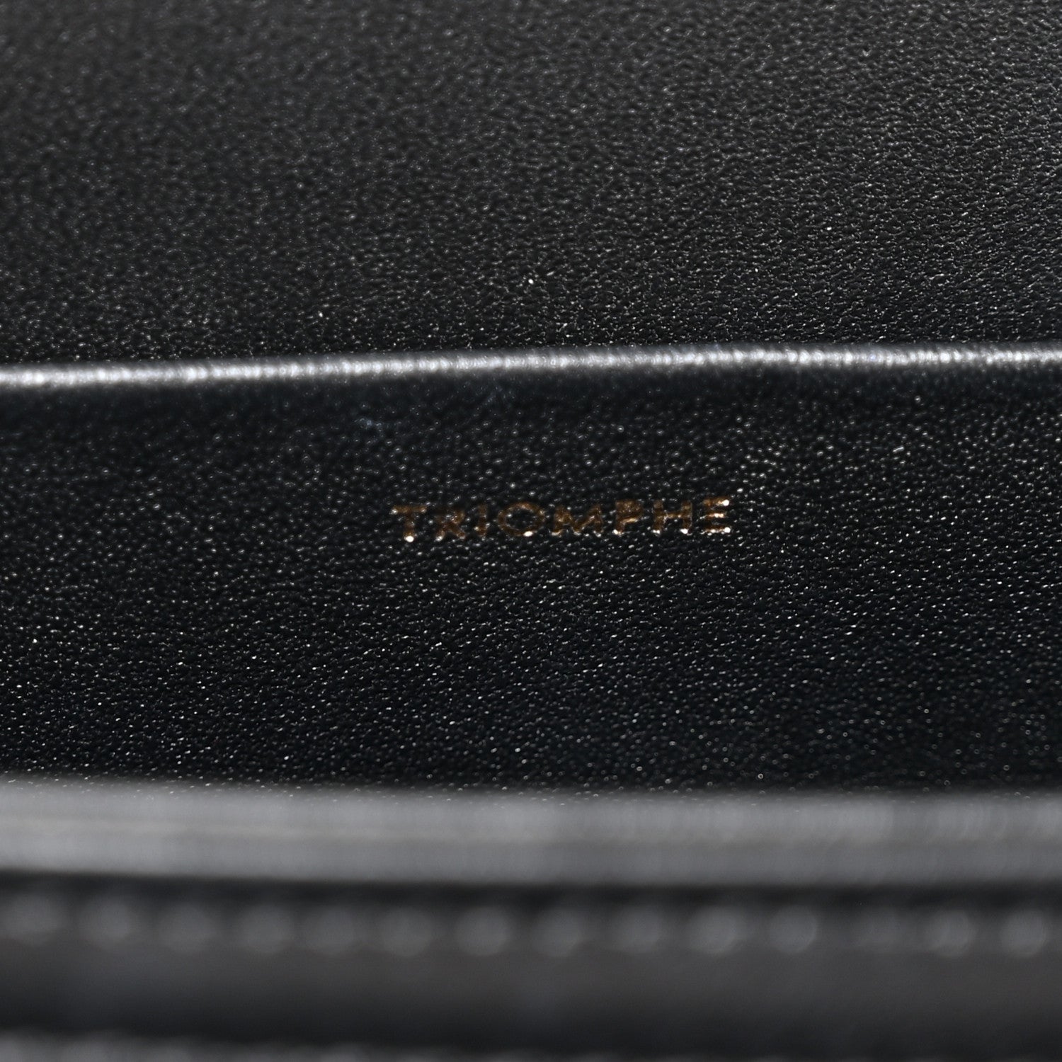 Shiny Calfskin Medium Triomphe Black