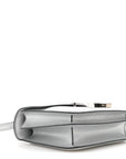 Metallic Chevre Chamkilight Constance 18 Argent
