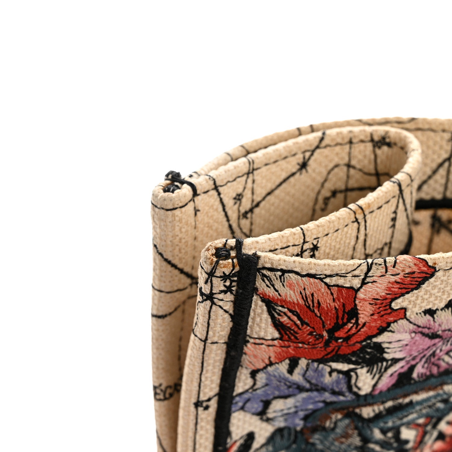 Canvas Embroidered Large Zodiac Book Tote Latte Multicolor
