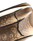 Lizard Constance 18 Ombre