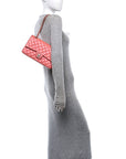 Iridescent Lambskin Quilted Medium Double Flap Pink