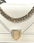 Metallic Grained Calfskin Medium D1ORama Flap Bag Silver