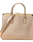Metallic Dauphine Medium Frame Tote Gold