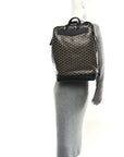 Goyardine Calfskin Cisalpin Backpack Black